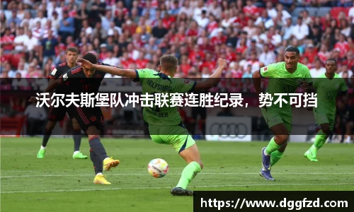 智博19有限公司