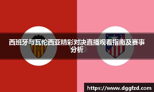 智博19有限公司