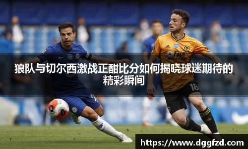 智博19有限公司