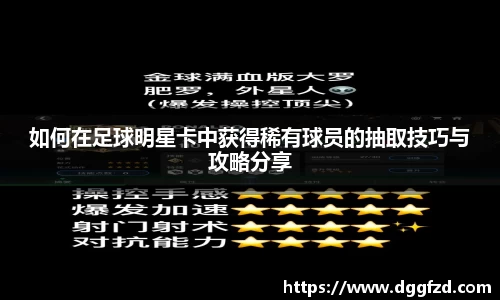 智博19有限公司