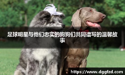 足球明星与他们忠实的狗狗们共同谱写的温馨故事