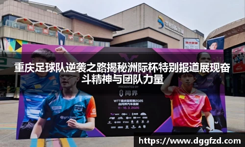 智博19有限公司