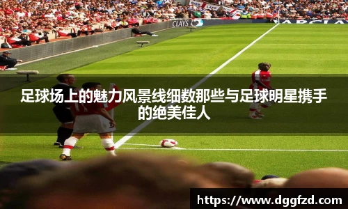 智博19有限公司